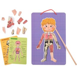 Tooky Toy Drewniane Puzzle Magnetyczne Nauka Anatomia Człowieka 78el.